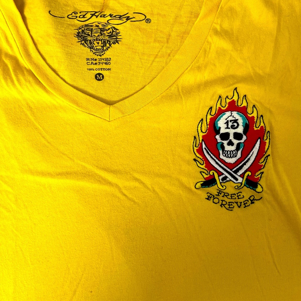 Ed Hardy Men’s V neck for Muscle Fit